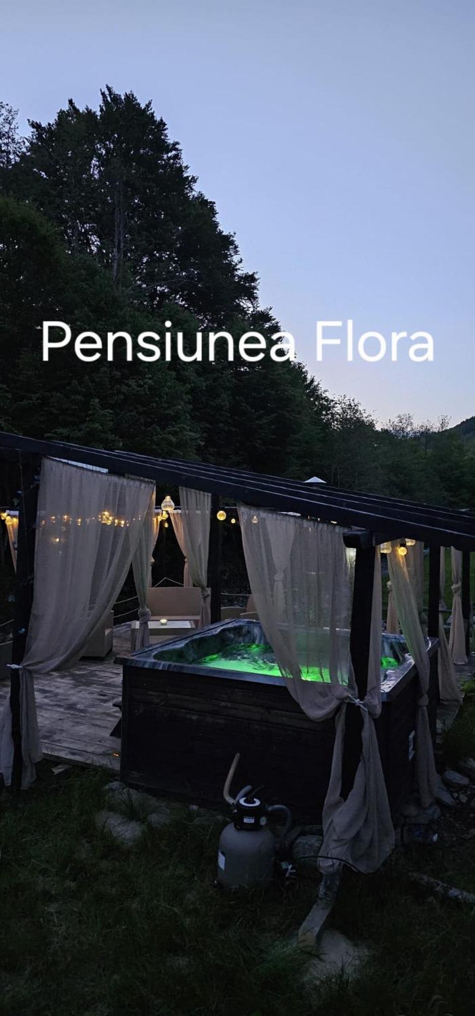 Pensiunea Flora Cîrţişoara Zewnętrze zdjęcie